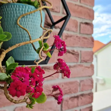 Promenada Διαμέρισμα *