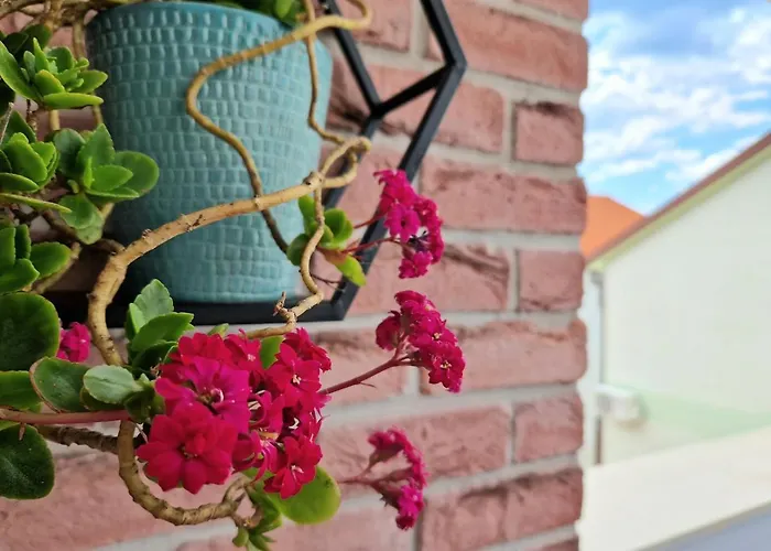 Promenada Apartman *